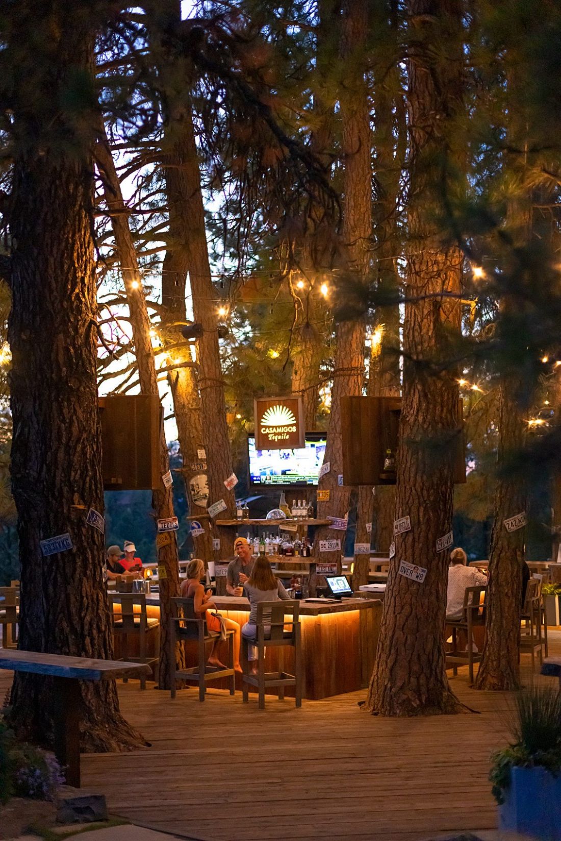 Tree bar at Gozzer